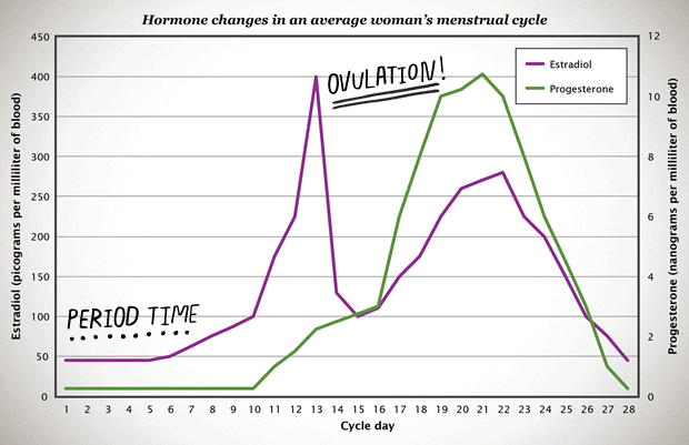 Women S Hormone Levels Chart